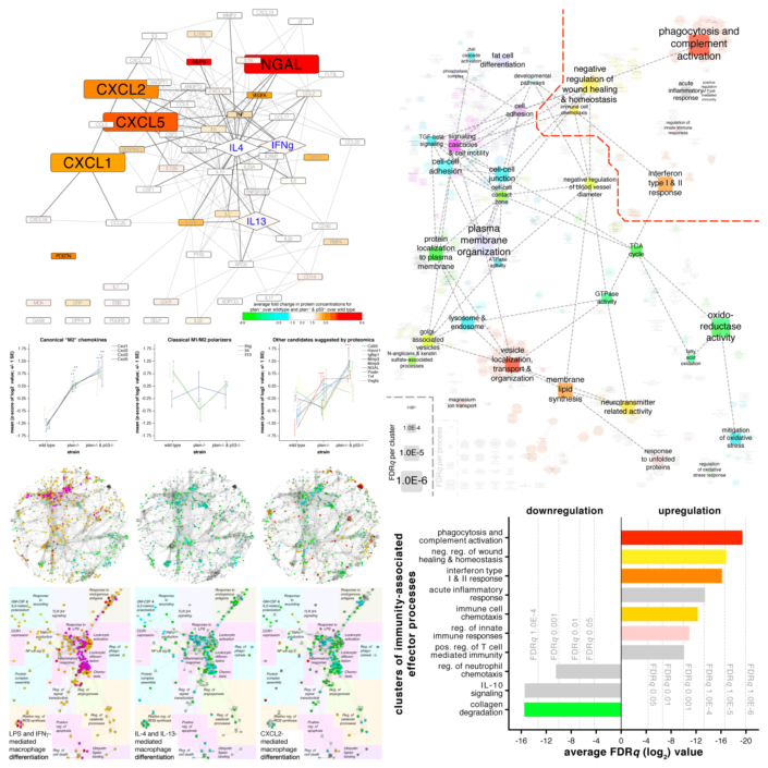 Integrated systems-based early drug testing Identification of non-classical modulators of tumor-associated macrophage differentiation form tumor secretomes. Integrated systems analyses of molecular landscapes underlying therapeutic effects in vitro and in vivo represent early drugs development milestones completed for prostate cancer immunotherapy.