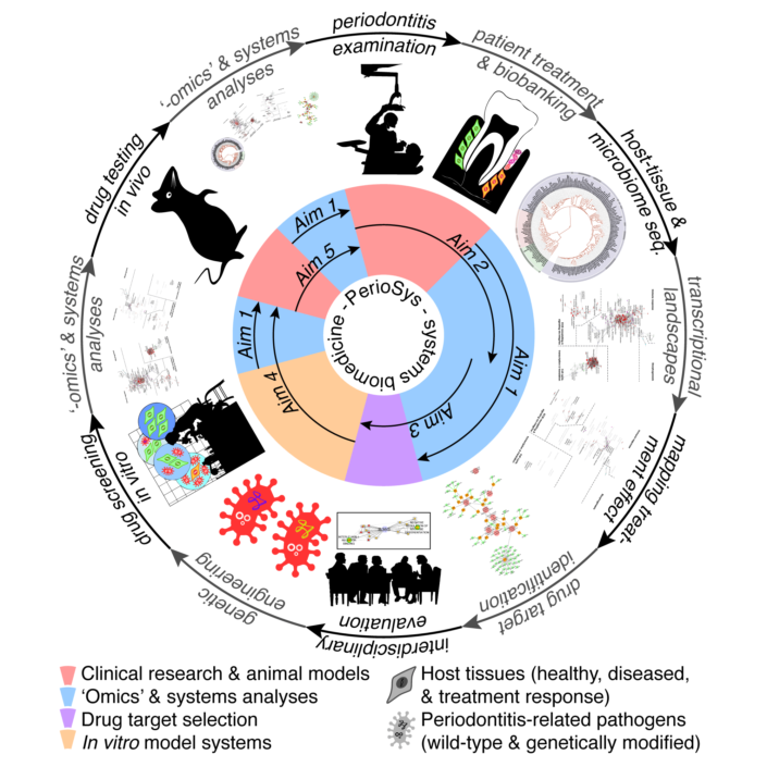 Modulating targets that control outcomes Schematic of our systems-based translational medicine initiative for characterizing and modulating bacterial enzymes controlling severity and outcome of chronic inflammation in periodontitis.