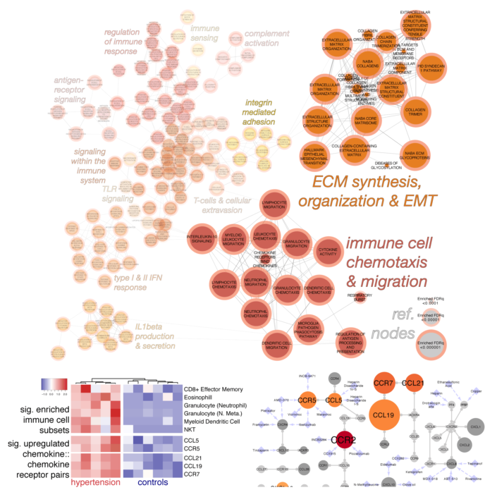 Molecular modules defining drug response RNA-sequencing of patients’ kidney biopsies reveals aspects of fibrosis and epithelial-mesenchymal transition paired with immune cell chemotaxis. Confirmed via expression deconvolution for virtual cell enumeration, chemokine::chemokine receptor mapping identifies molecular candidates suitable for drug repurposing initiatives.